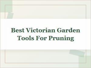 Discover the Best Victorian Garden Pruning Tools