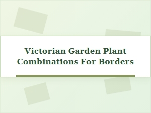 Classic Plant Combinations for Victorian Borders